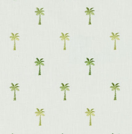 Pindo Palm