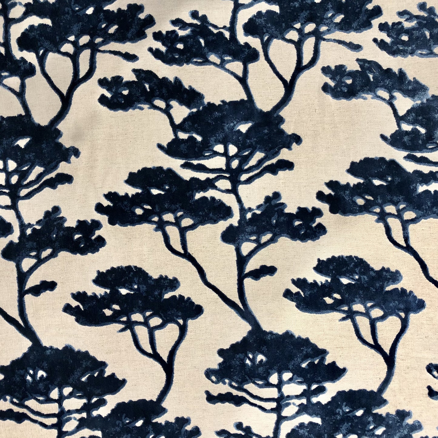 Serengeti Velvet