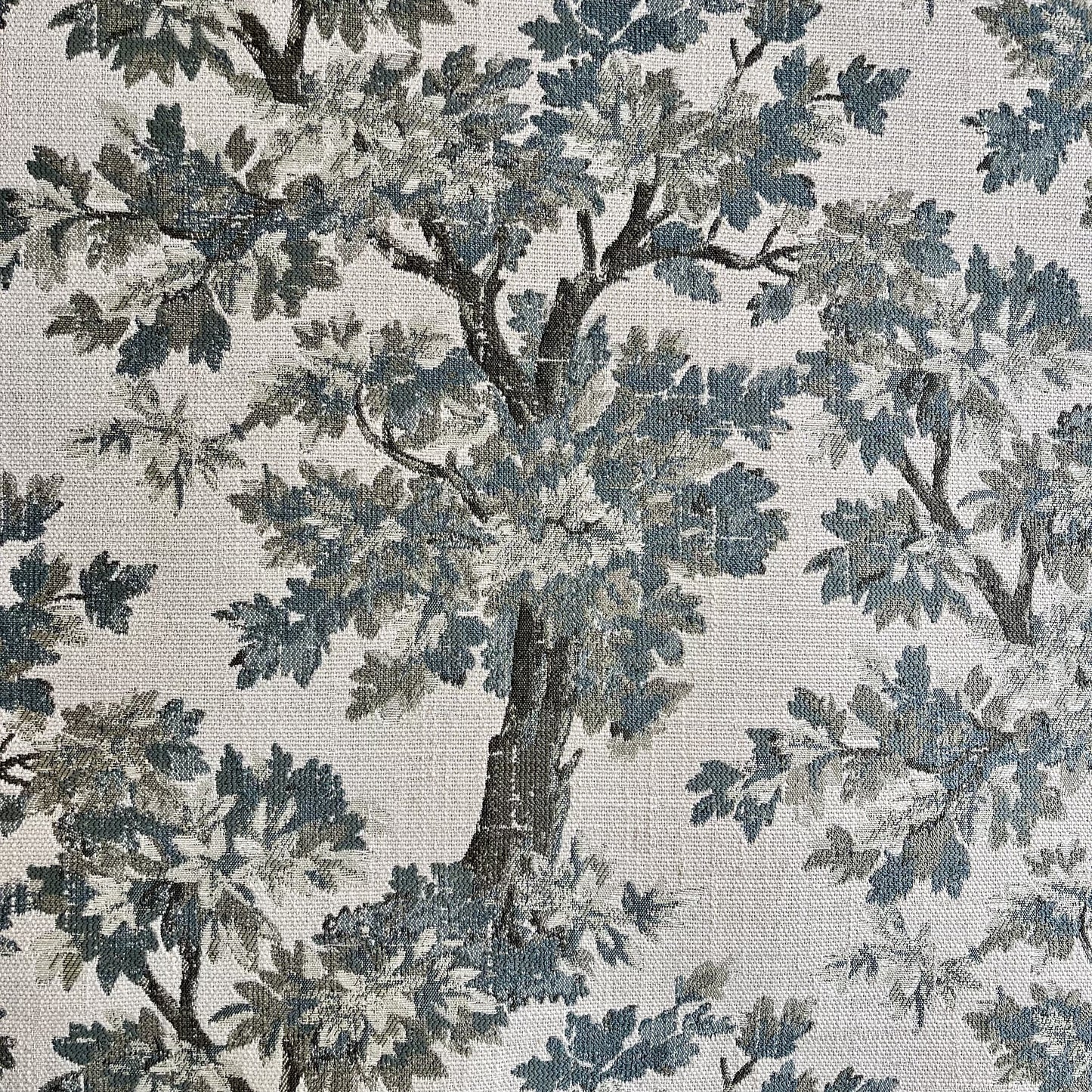Treaty Oak