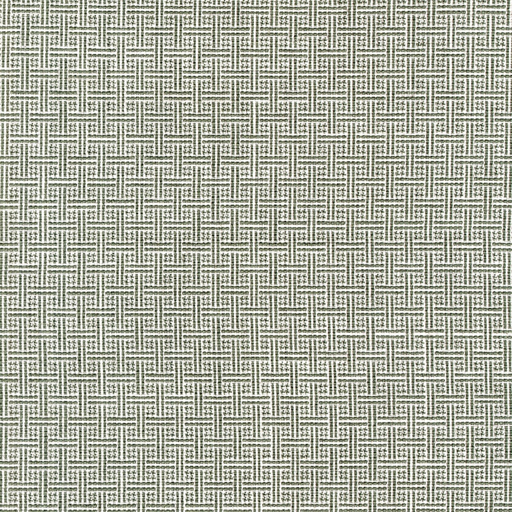New Fabric