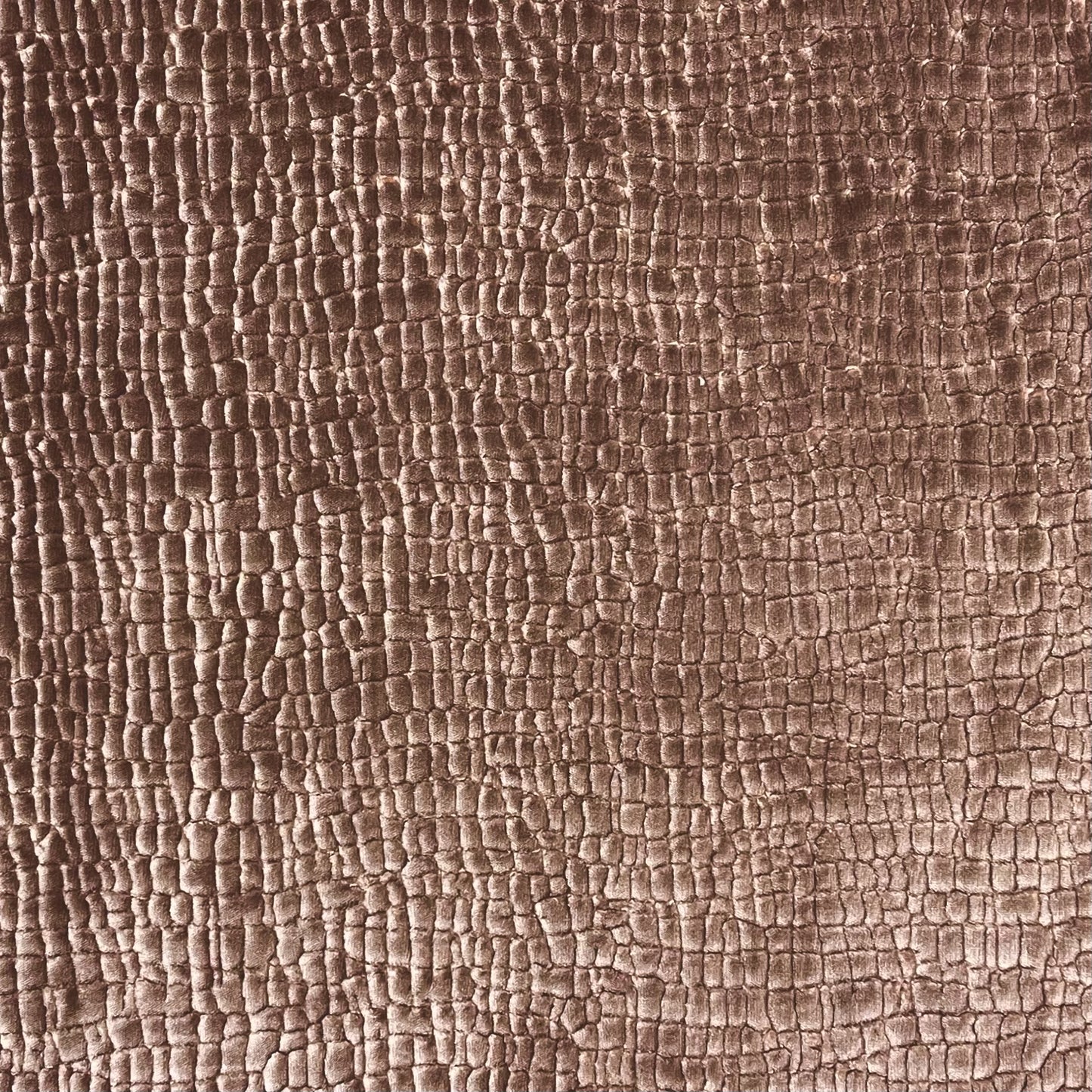 Palm Beach Radiance