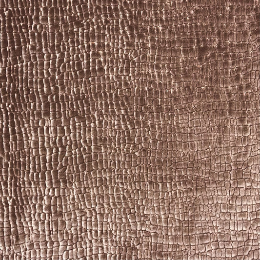 Palm Beach Radiance