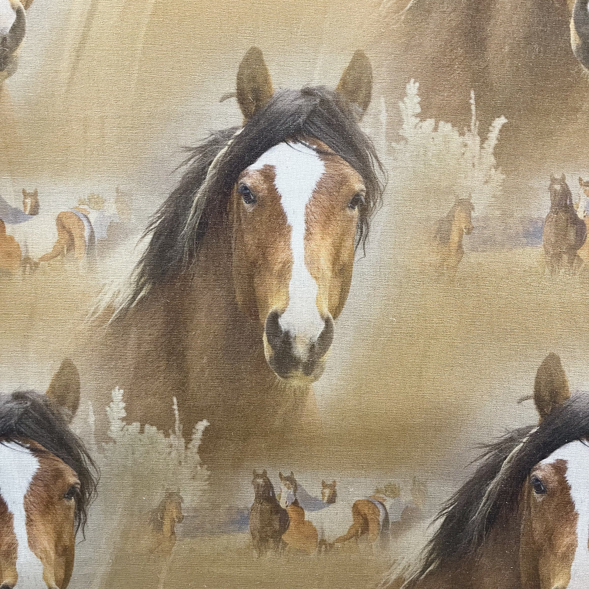 Wild Horses